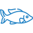 Préserver la faune aquatique